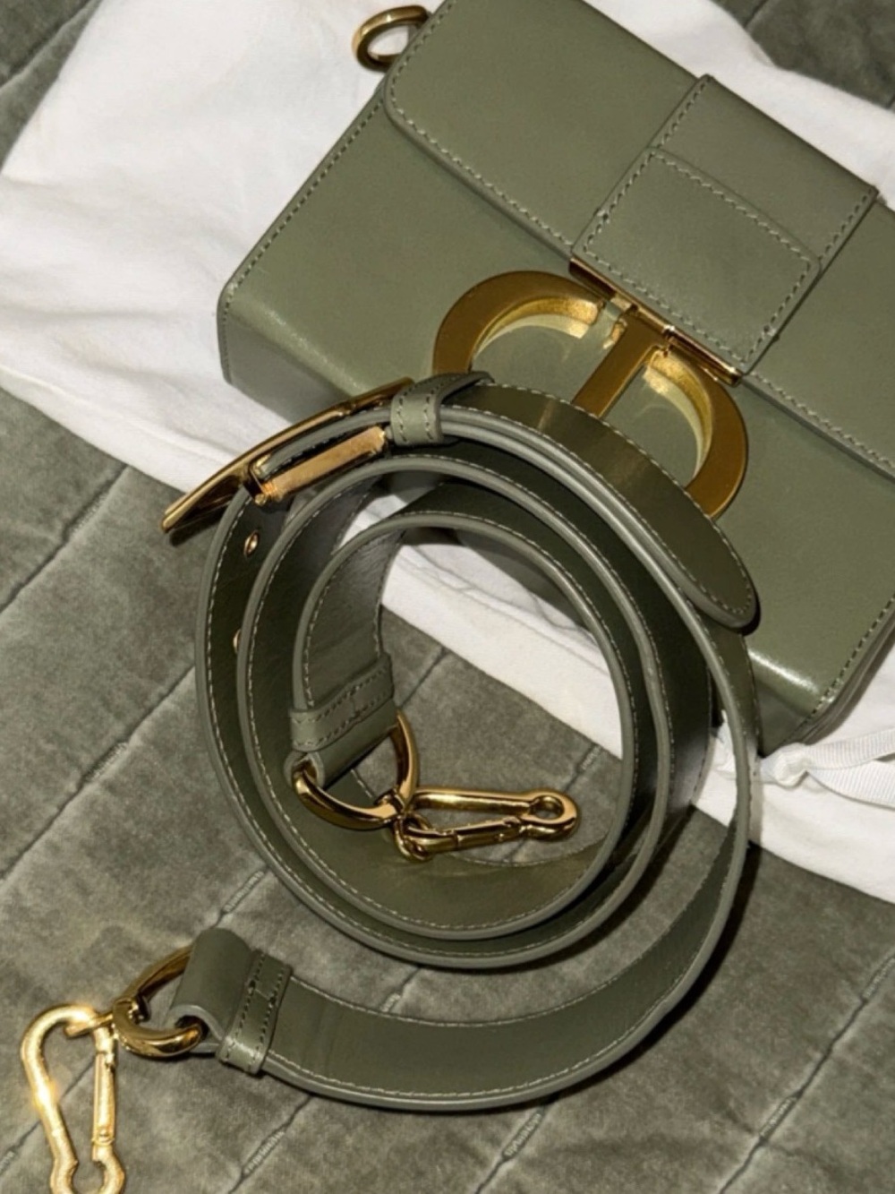Dior Sage Green CD Logo Crossbody Belt Bag with Gold Hardware - Picture 2 of 3